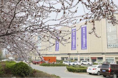 打造巨型&ldquo;商業(yè)航母&rdquo; 石家莊樂(lè)城國(guó)際貿(mào)易城成商戶(hù)首選